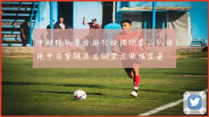 中超球队身价排行榜揭晓泰山队领跑申花紧随其后铜梁龙涨幅显著