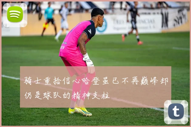 骑士重拾信心哈登虽已不再巅峰却仍是球队的精神支柱