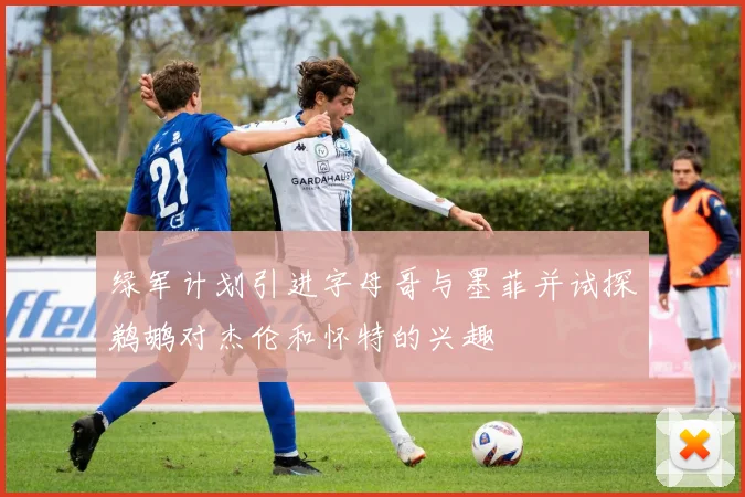 绿军计划引进字母哥与墨菲并试探鹈鹕对杰伦和怀特的兴趣