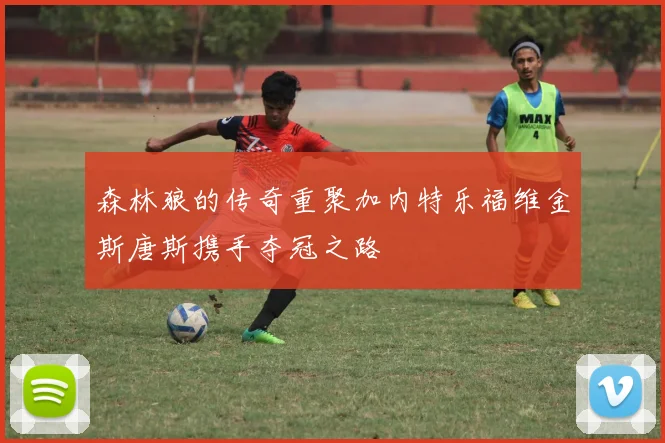 森林狼的传奇重聚加内特乐福维金斯唐斯携手夺冠之路